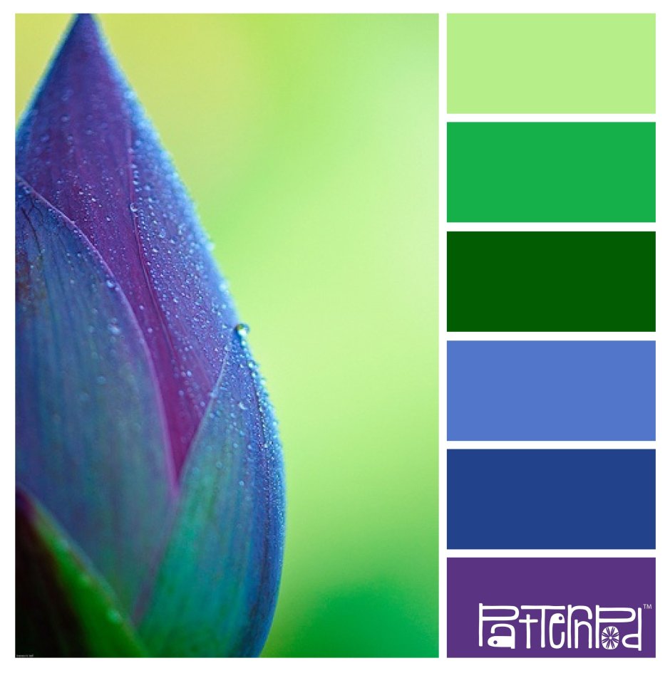 Колор Романюк палитра