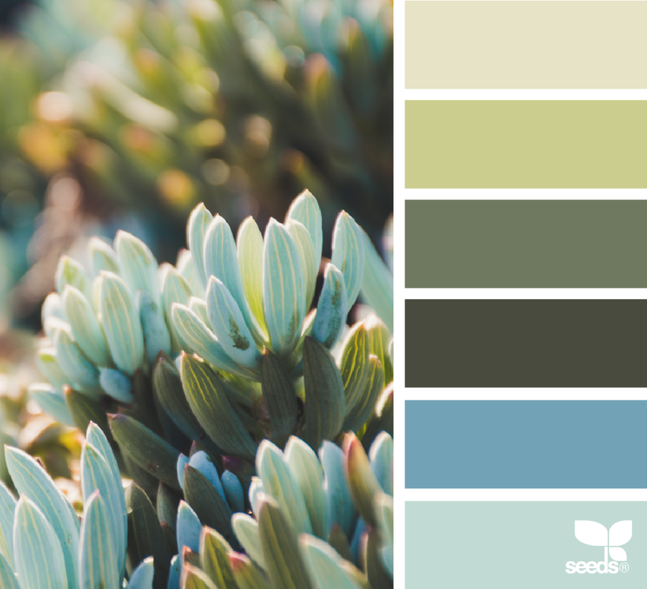 Цветовые Палитры romanuke