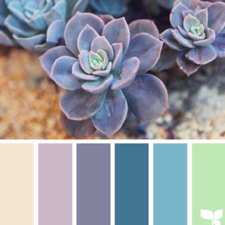 Цвет мурена палитра