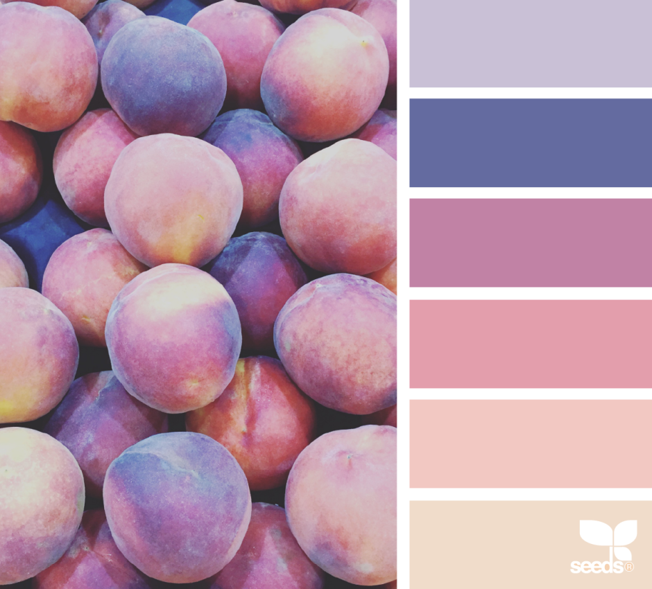 Цветовая палитра пастельных оттенков