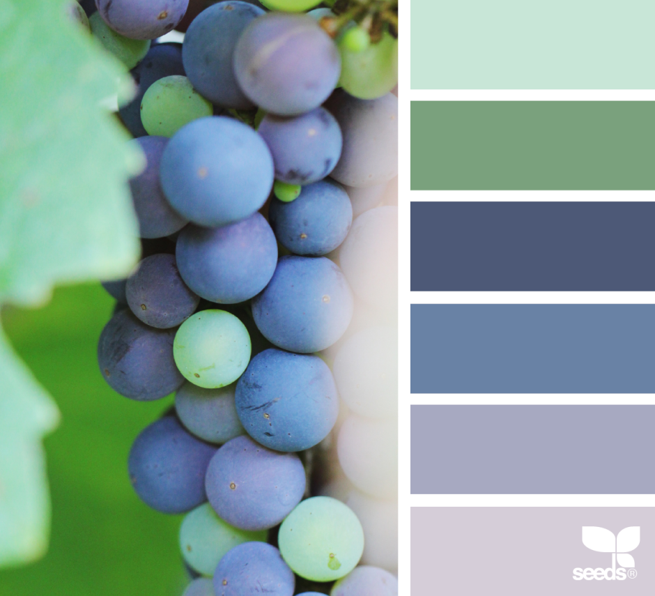 Сочетание цветов с голубым