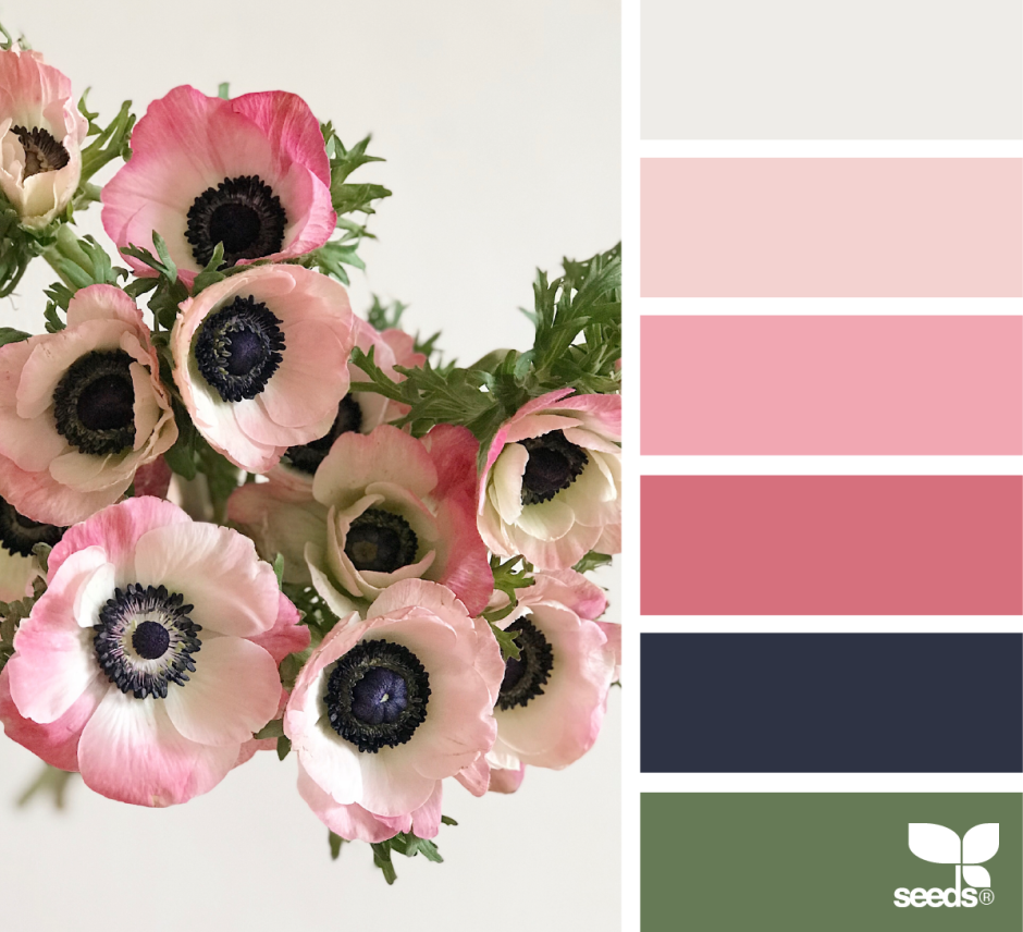 Цветы сочетание