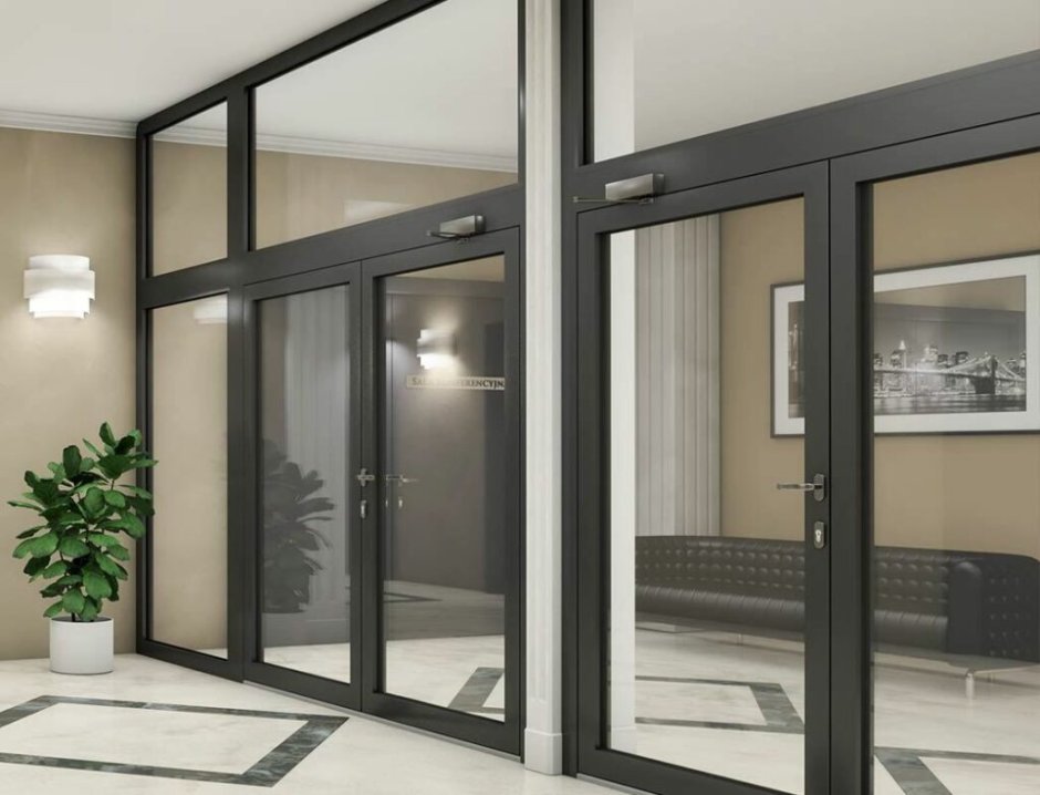 Алюминиевая дверь alt62