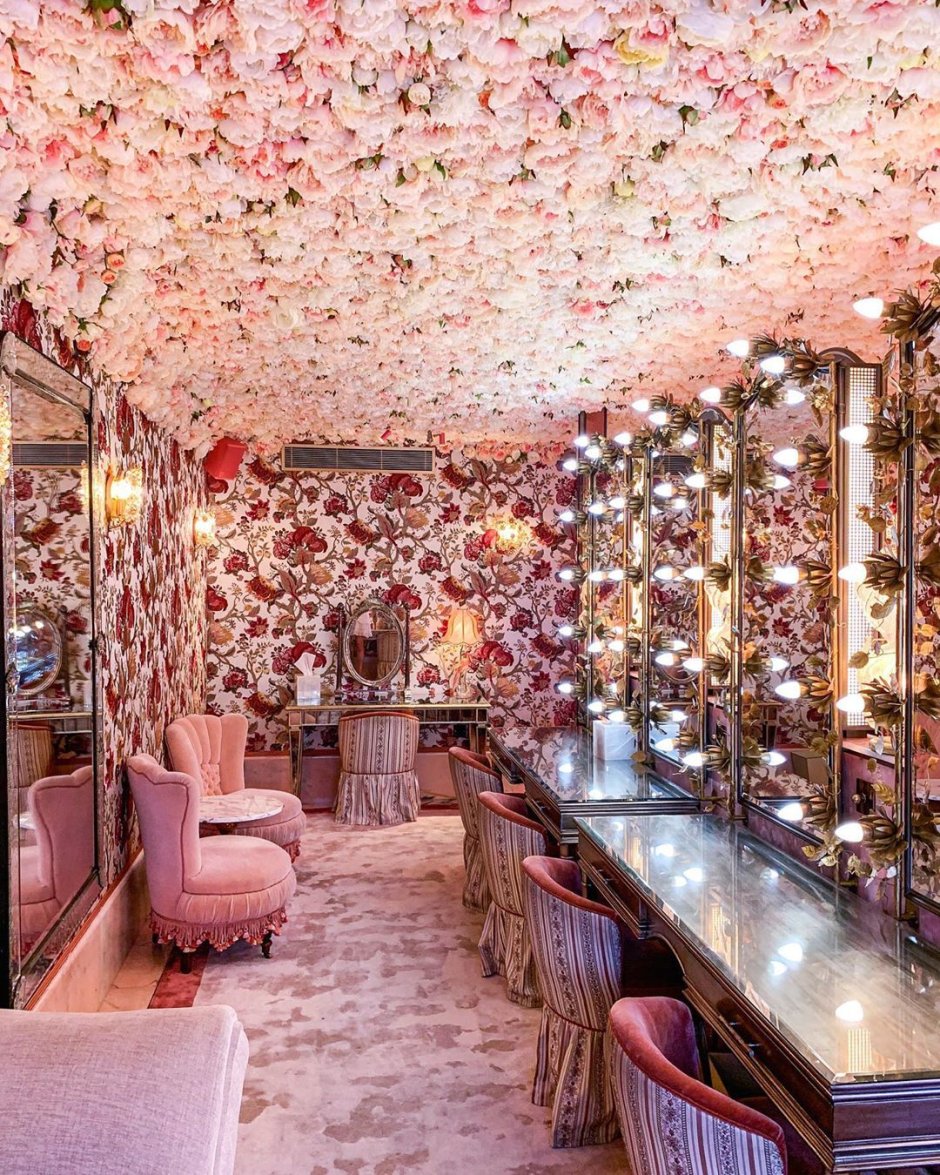 Растения свисающие с потолка