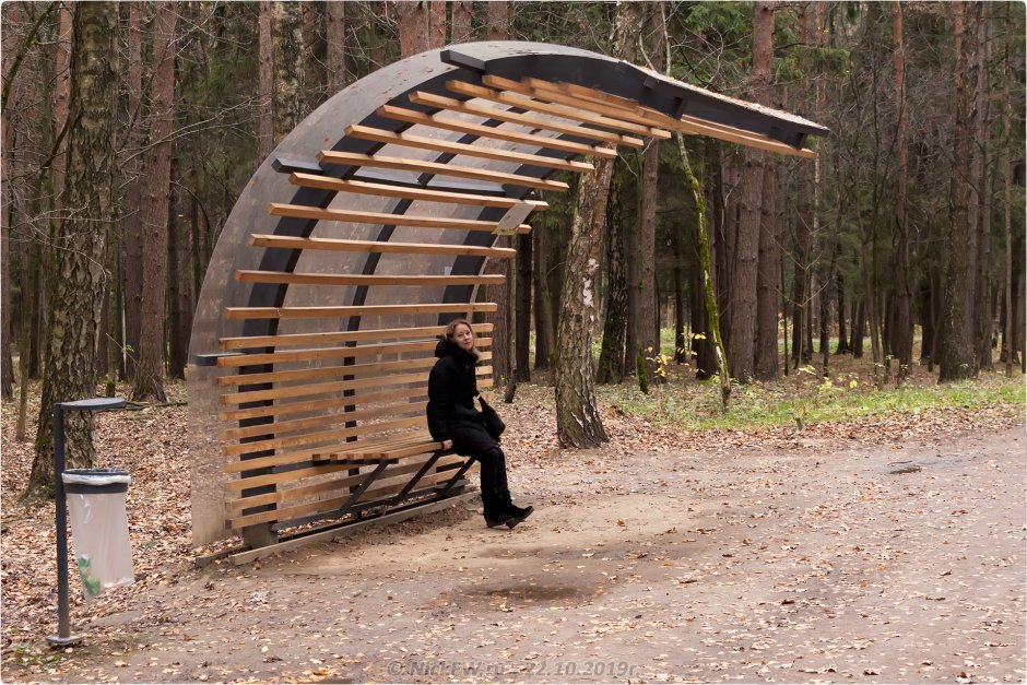 Мещерский парк беседки