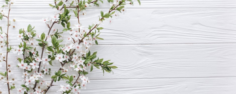 Весна горизонтально