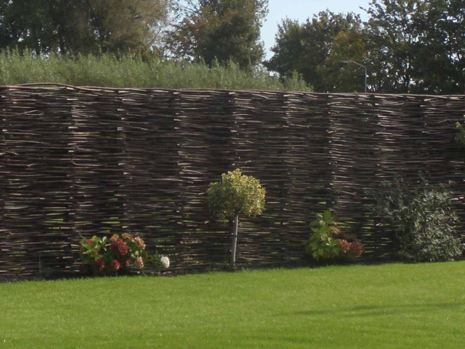 Забор плетень лоза