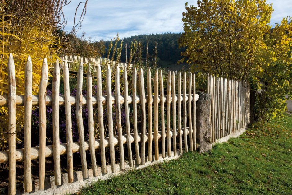 Штакетник деревянный