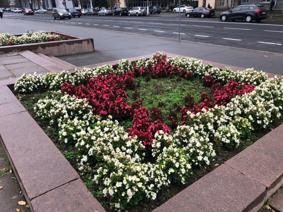 Клумба ромбовидная