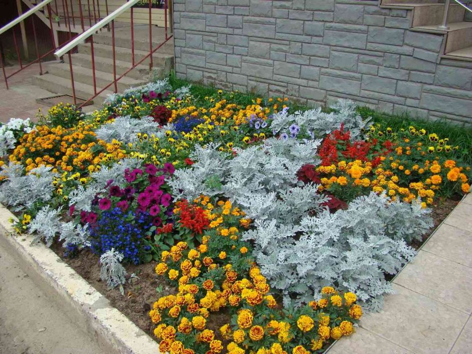 Клумбы, рокарии, рабатки