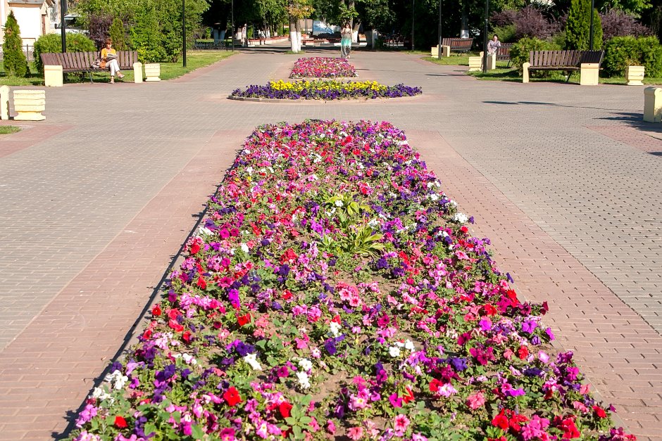 Рабатка Томский госуниверситет