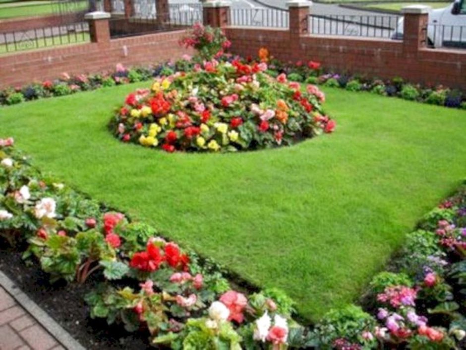 Бальзамин рабатка