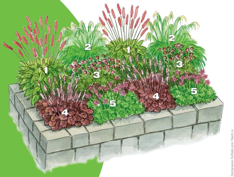 Красивые клумбы на даче