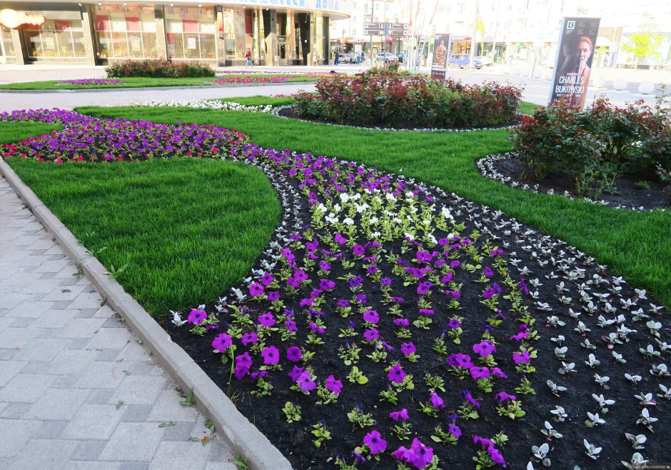 Квадратные клумбы на даче