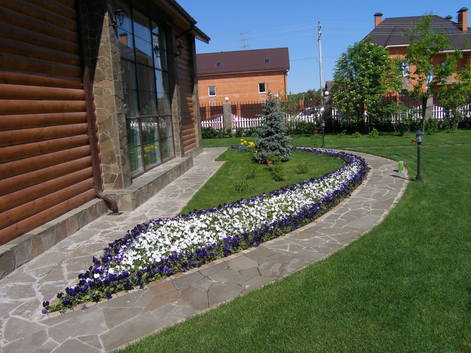 Хвойный рокарий миксбордер