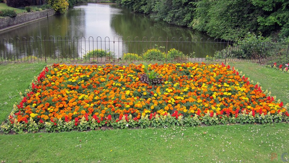 Рабатка бордюр миксбордер