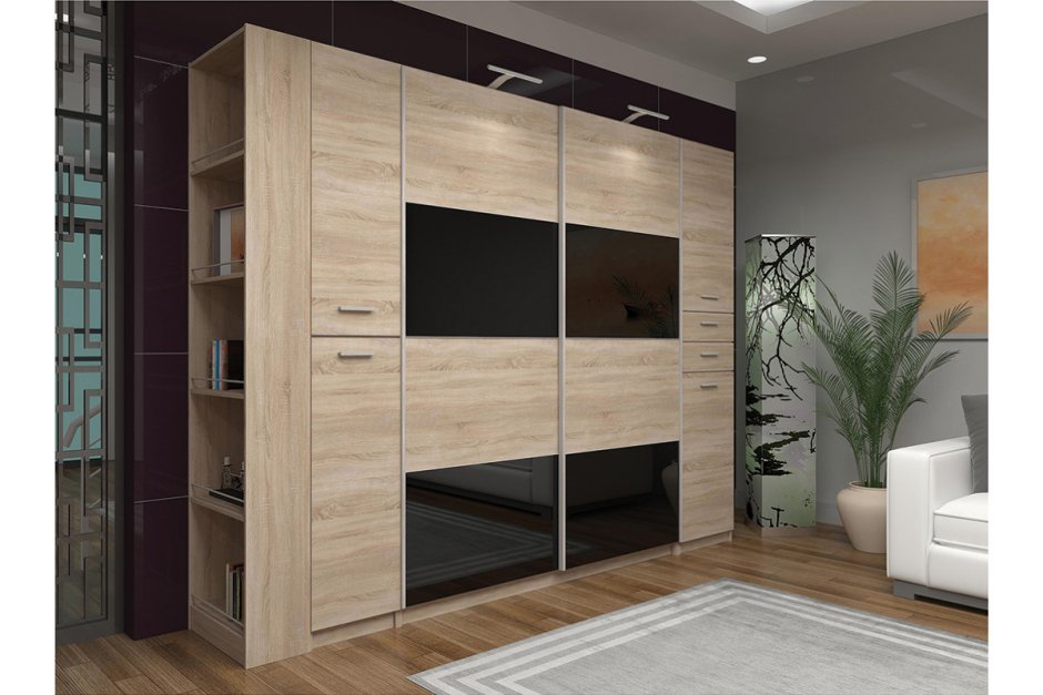 Три слона Росальба шкаф купе