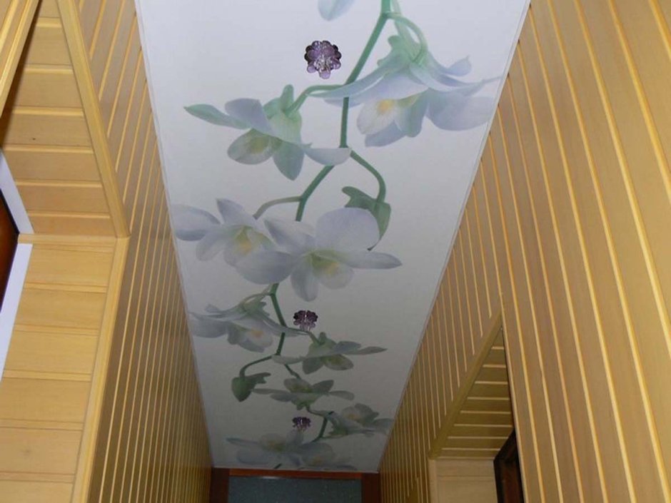 Потолки с фотопечатью в прихожую