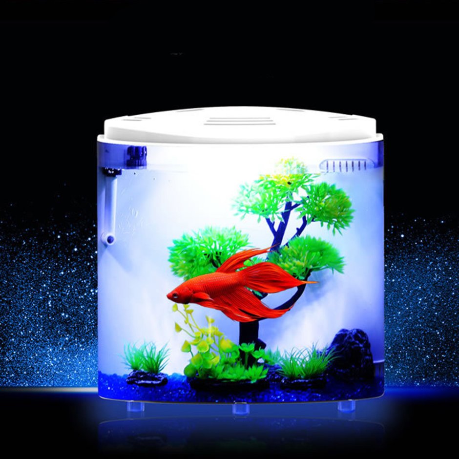 Светильник аквариум с искусственными рыбками