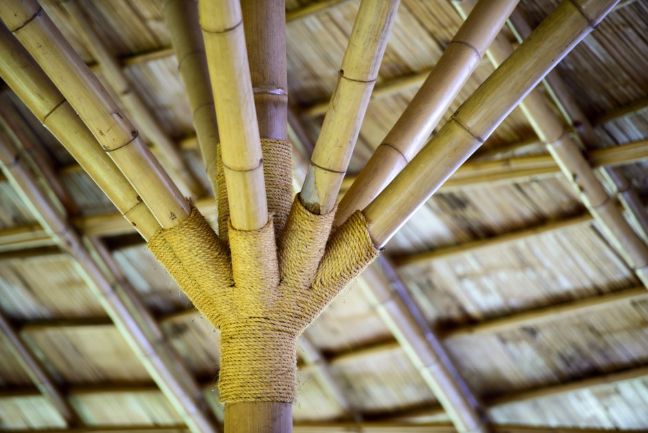 Бамбук для стройки