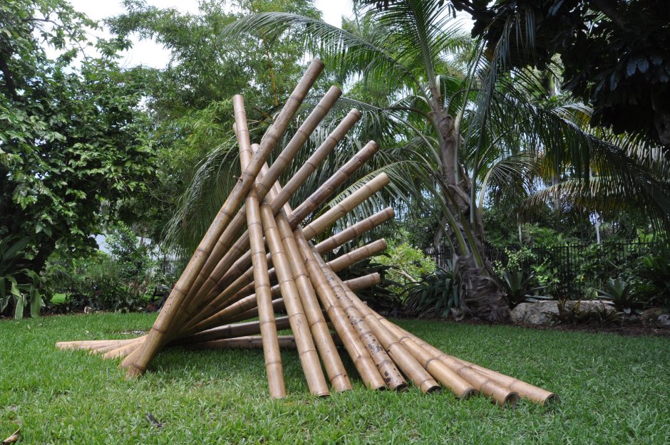 Guadua Bamboo