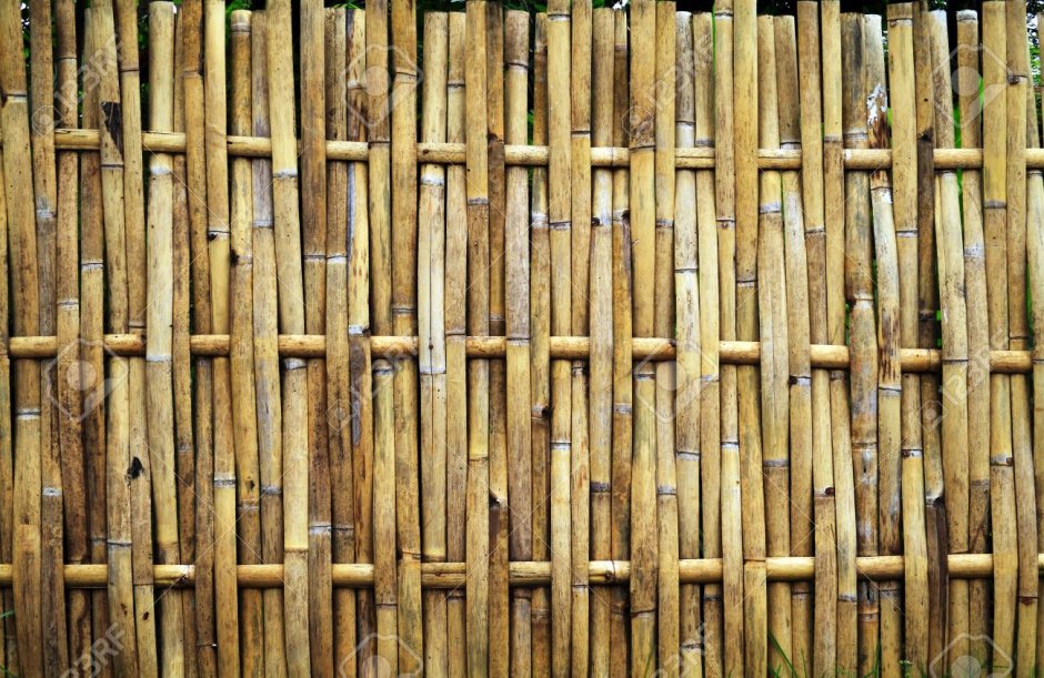 Изгородь из бамбука