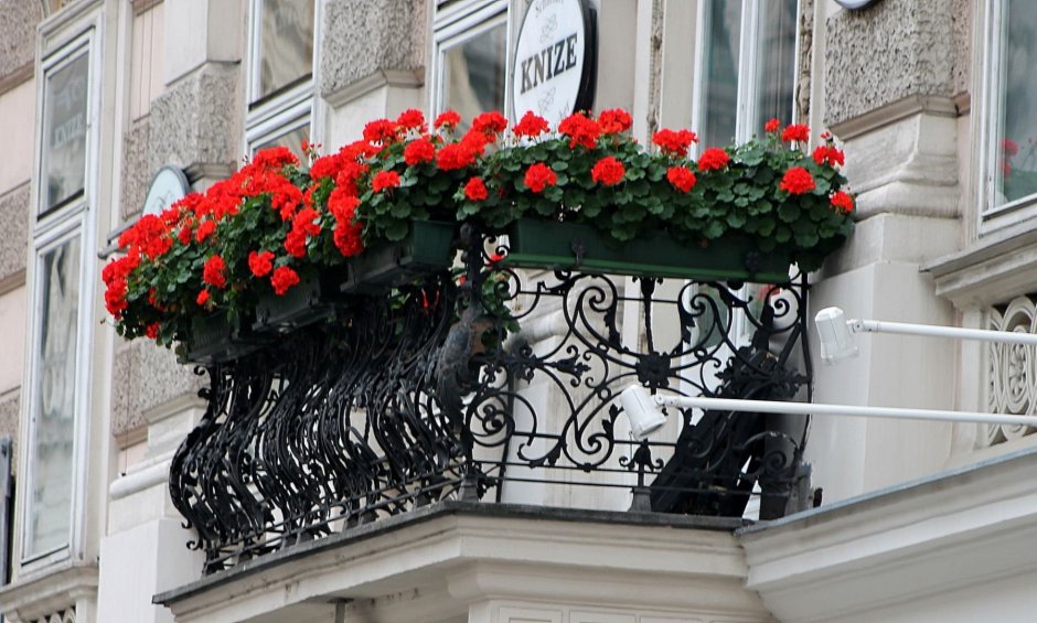 Венский балкончик