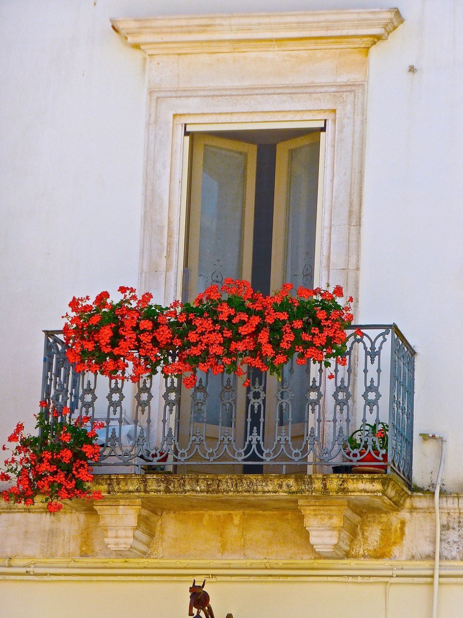 Балкон в цветах