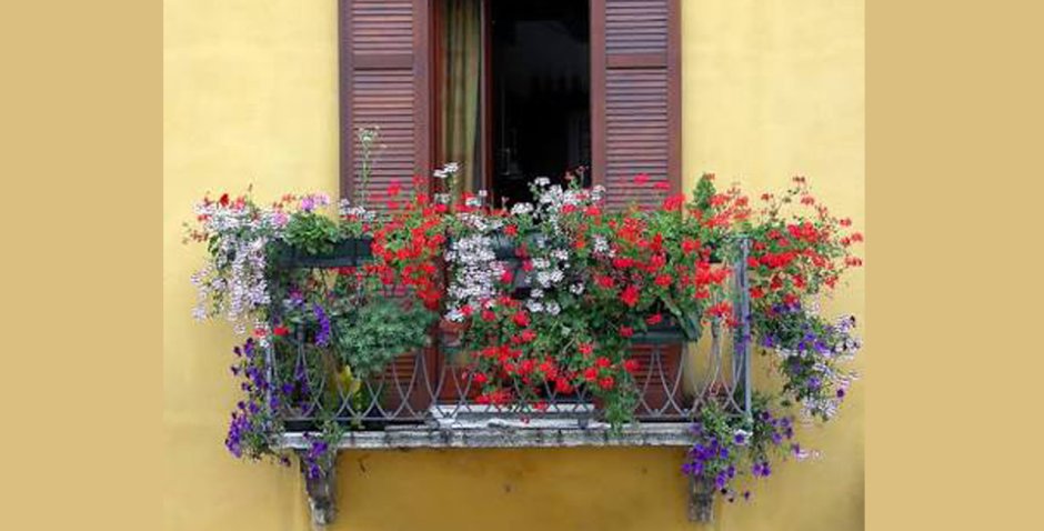 Цветочные Балкончики Италии