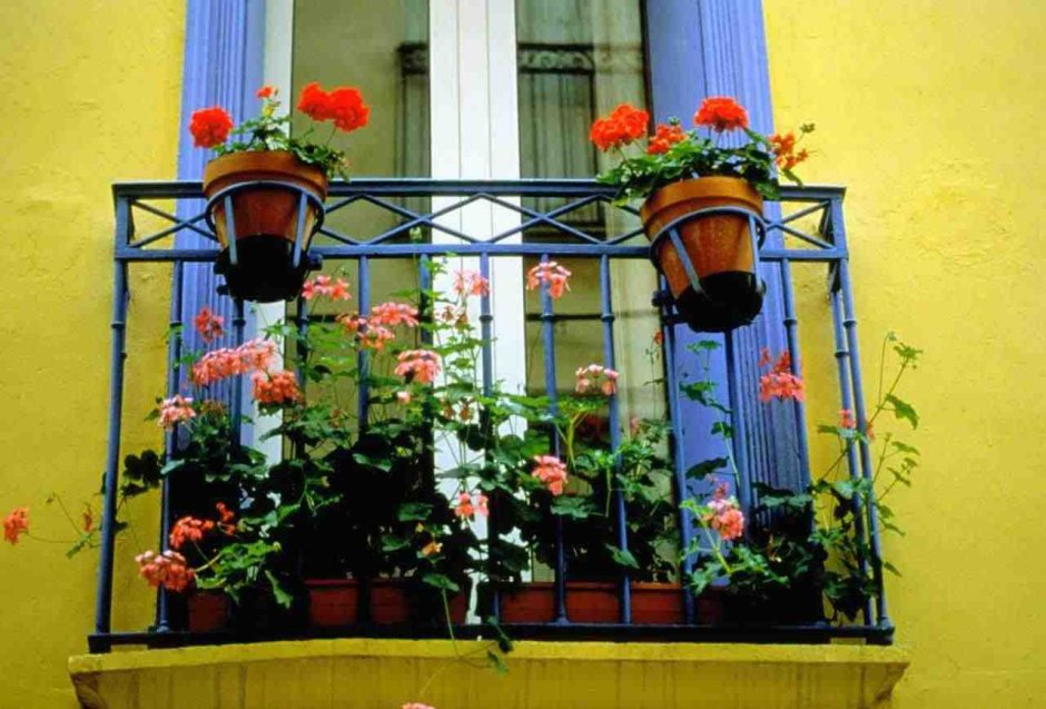 Французский балкончик с цветами