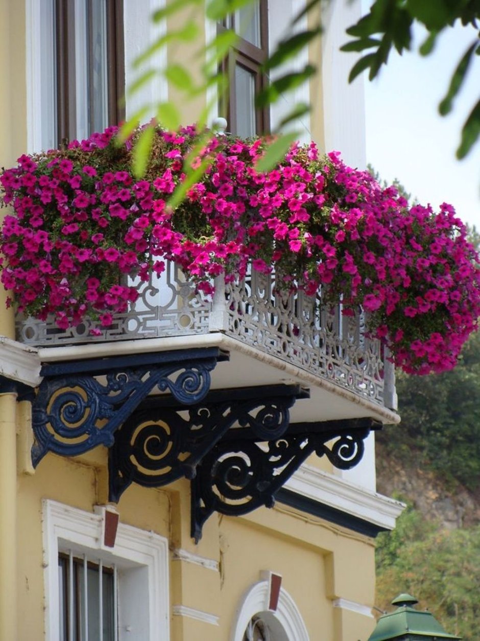 Цветы на перилах балкона