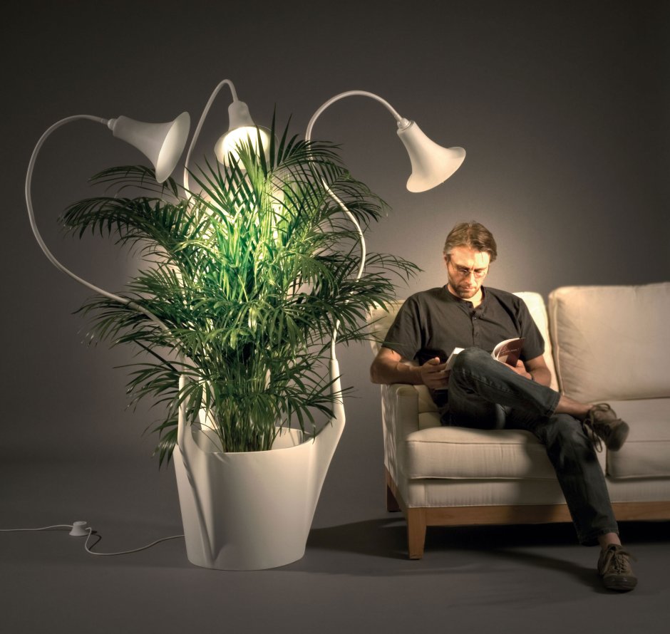 Необычные светильники в интерьере