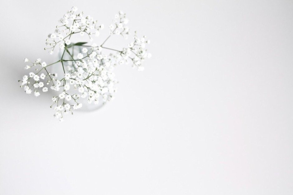 Красивый белый фон