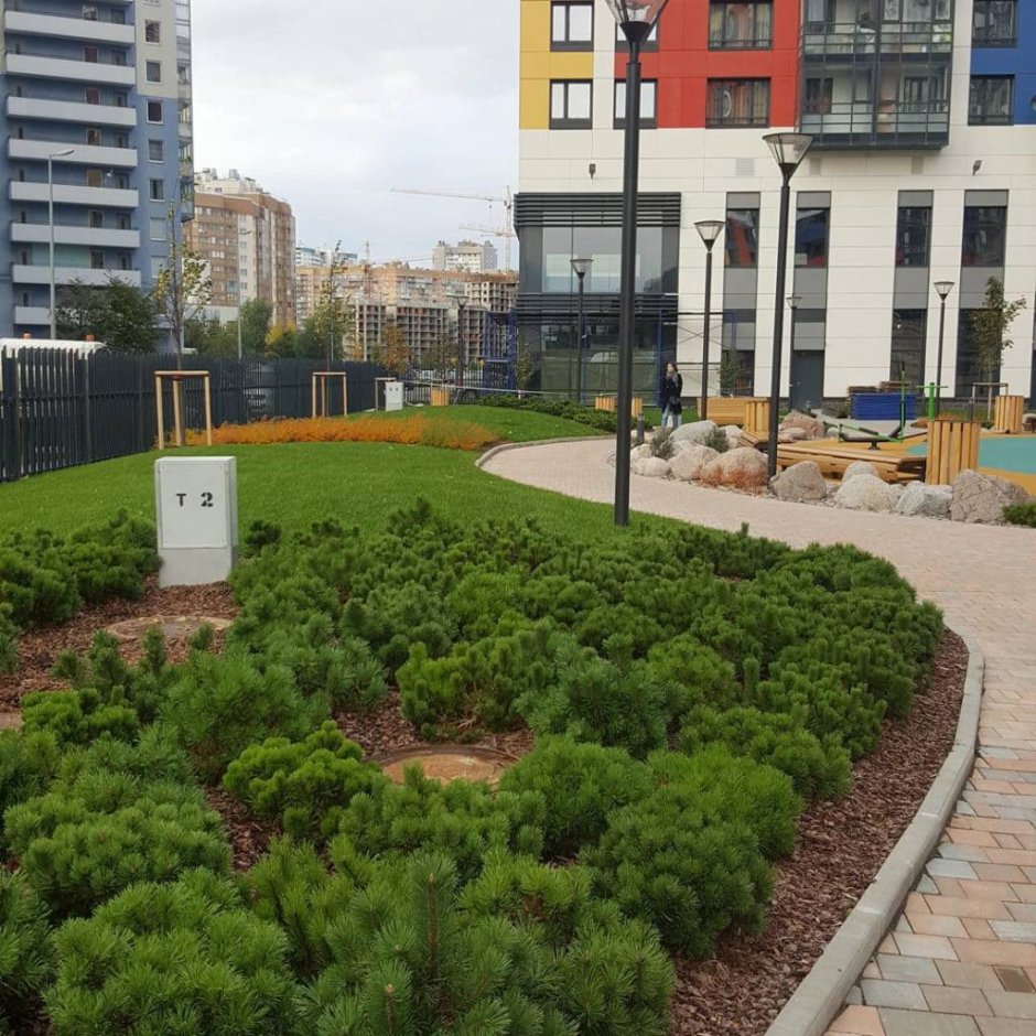 Благоустройство придворовой территории в Швеции