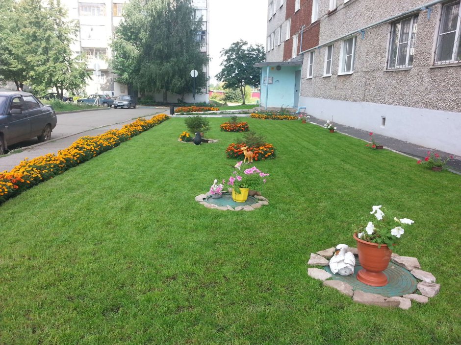 Газон у многоквартирного дома