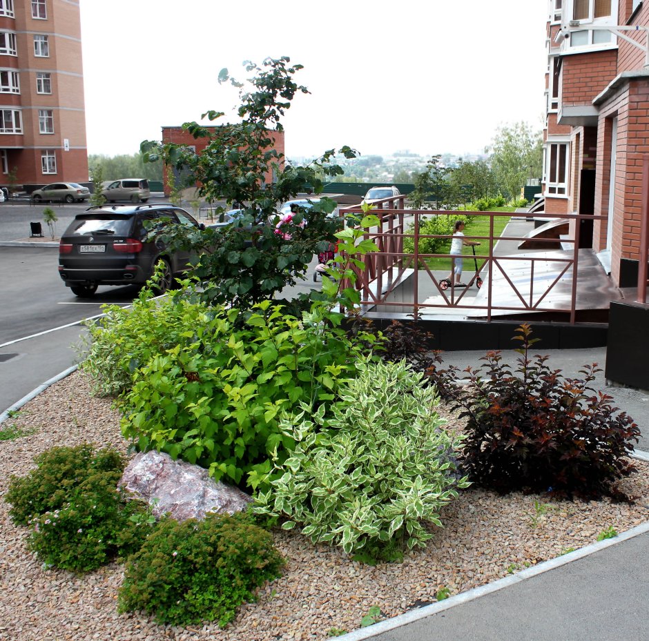 Озеленение двора