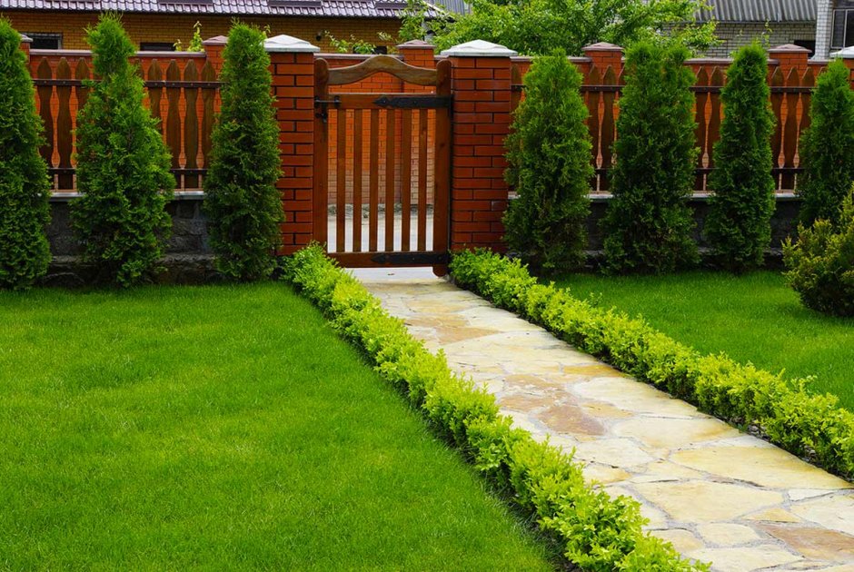 Рокарий- Альпийская лужайка