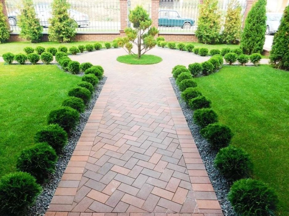 Солитеры в ландшафтном