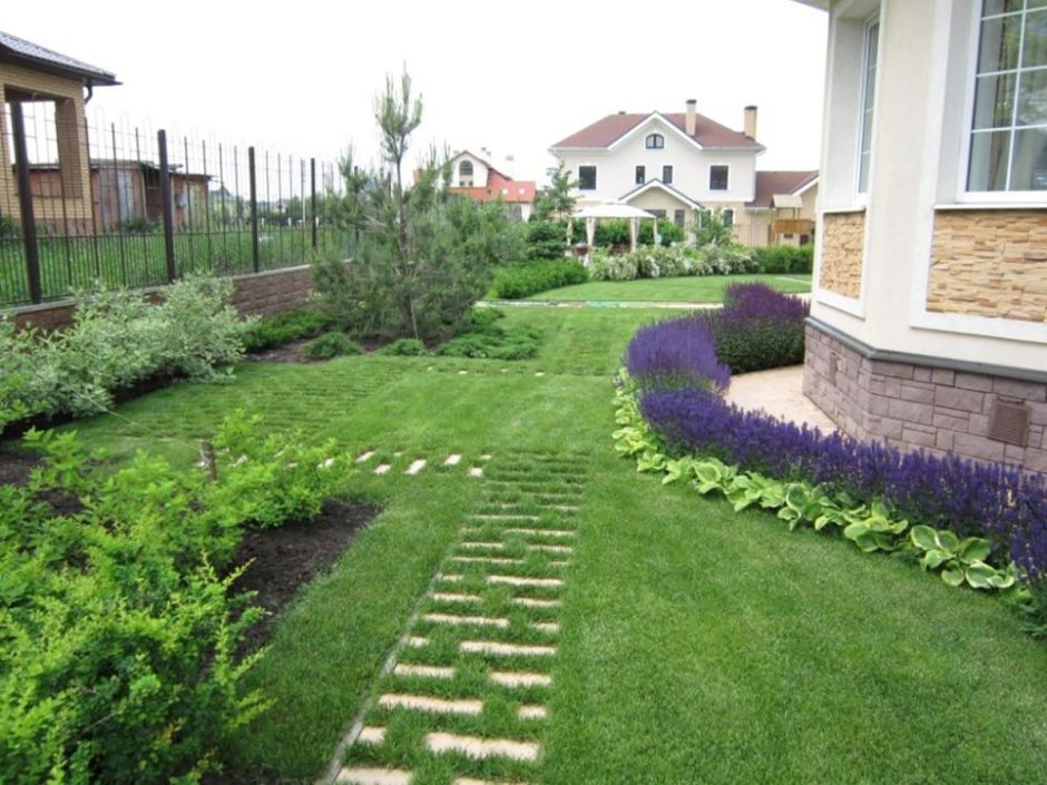 Газон во дворе