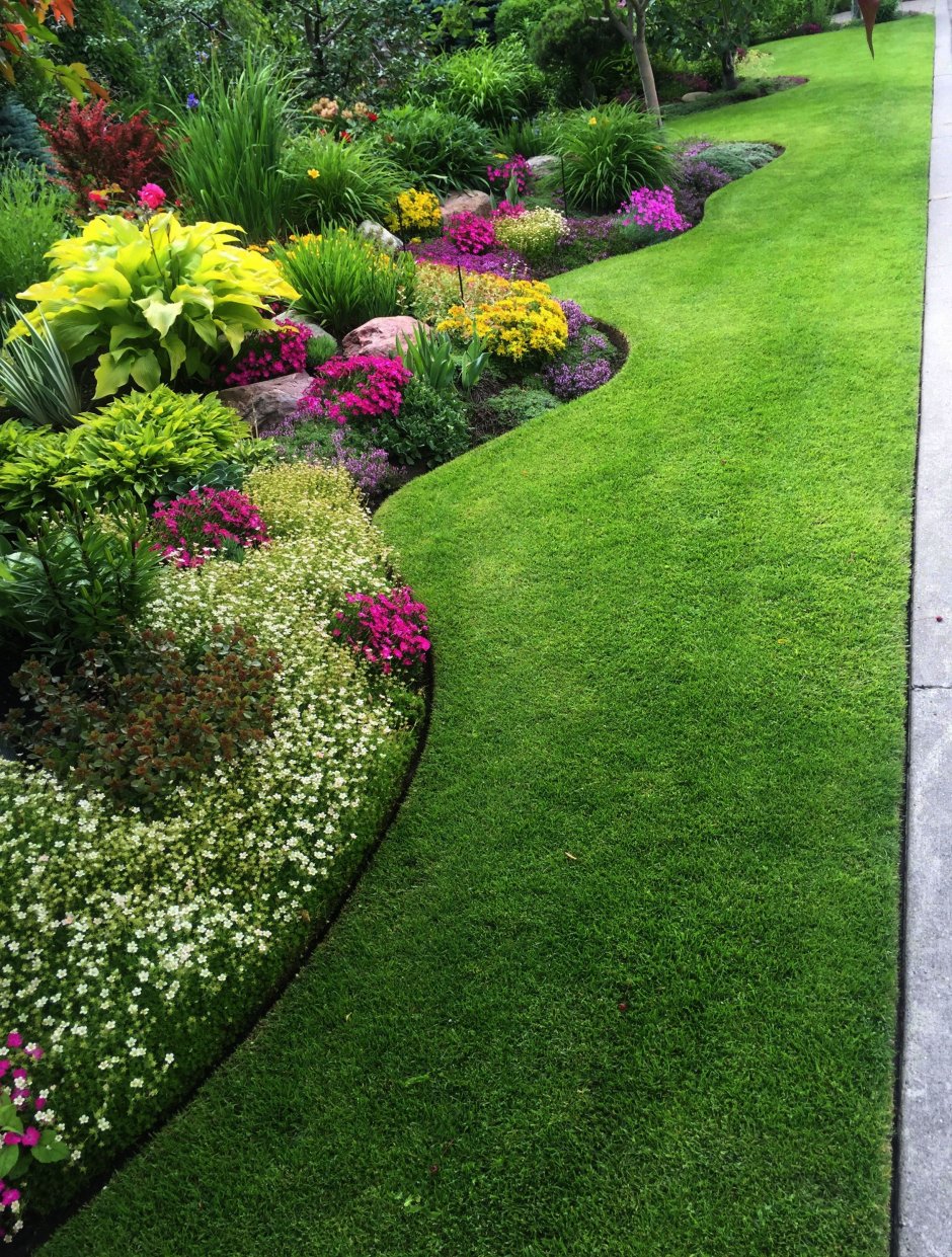 Газон перед забором