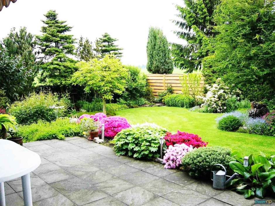 Газон на участке