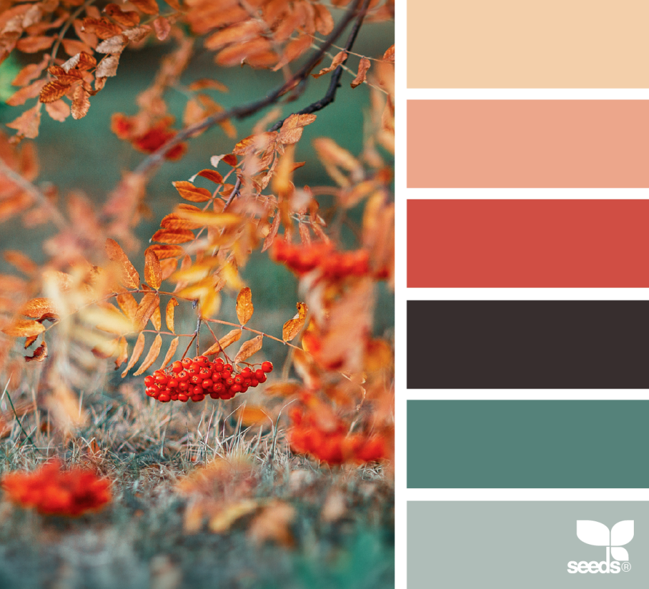 Уютная палитра цветов