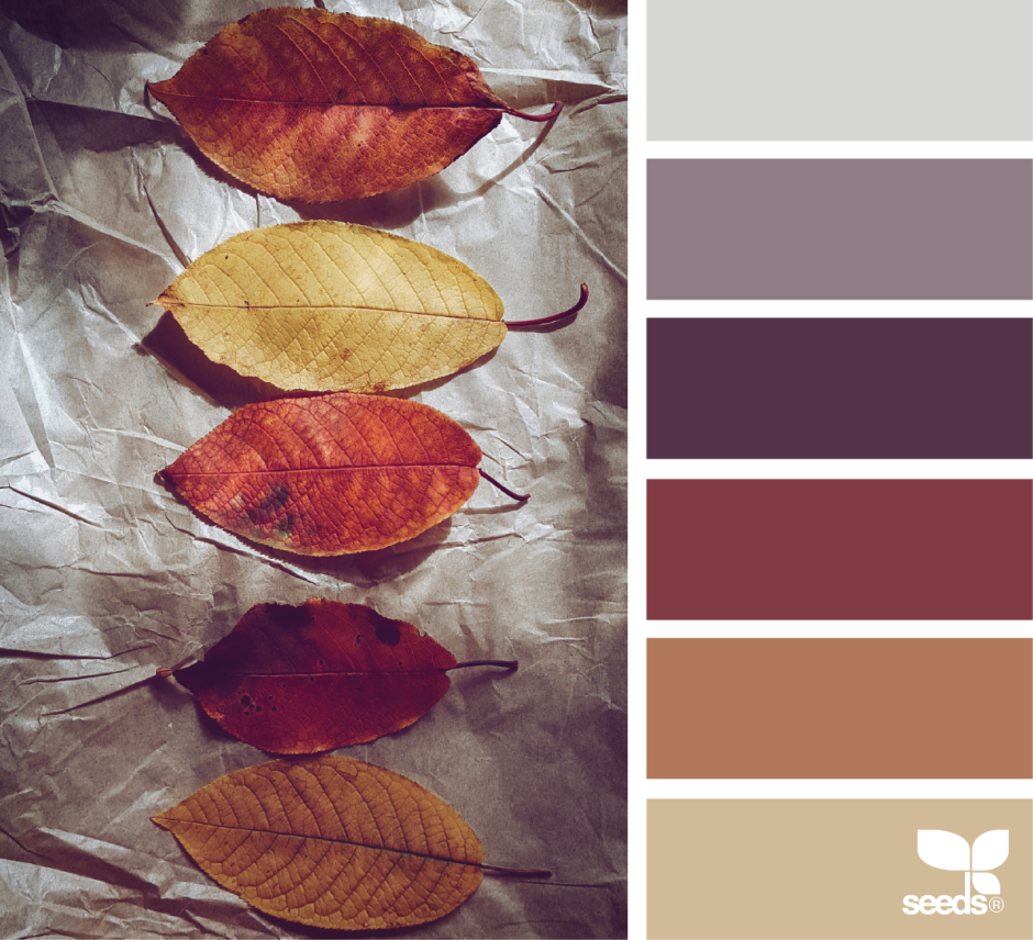 Оттенки оранжевого