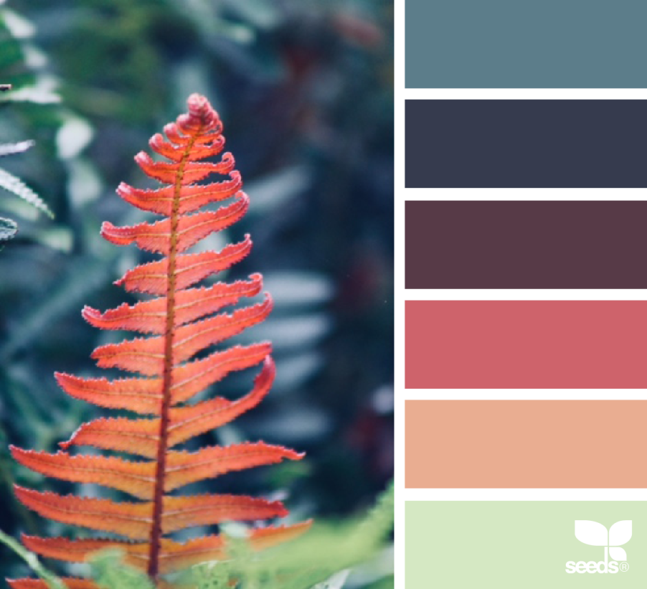 Терракотовый цвет пантон