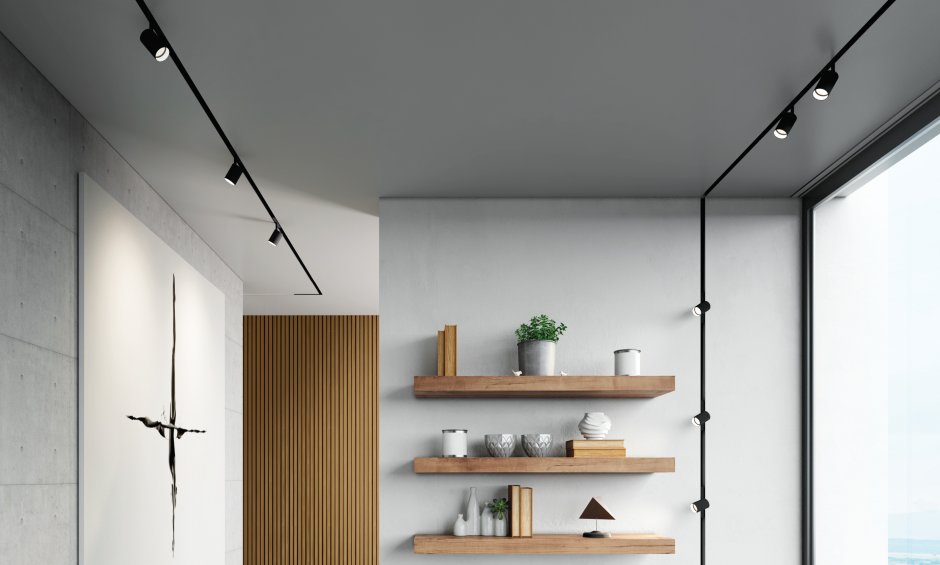 Магнитные трековые системы