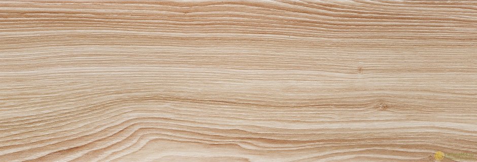 Ясень срез продольный