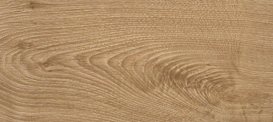 Дуб Петрона 37195 av