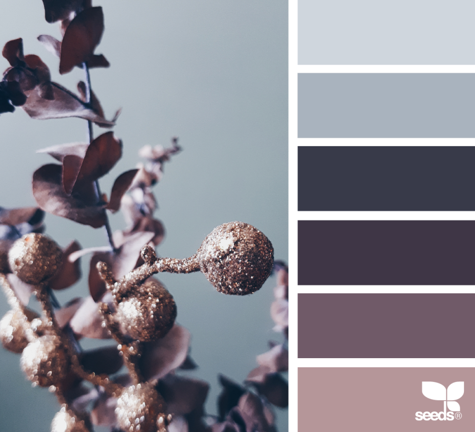 Цветовые Палитры Сидс