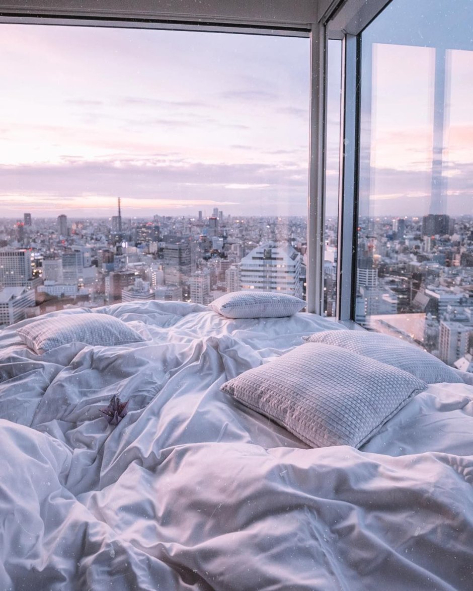 Эстетичный вид с окна