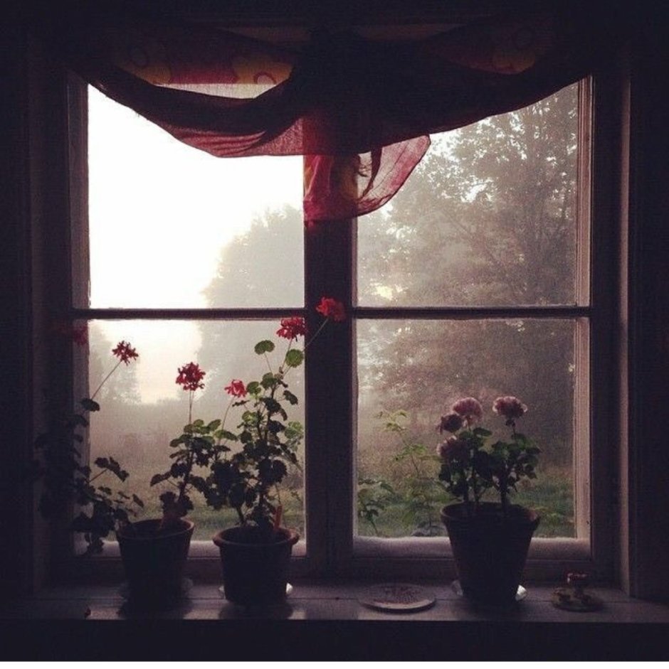 Окно Эстетика